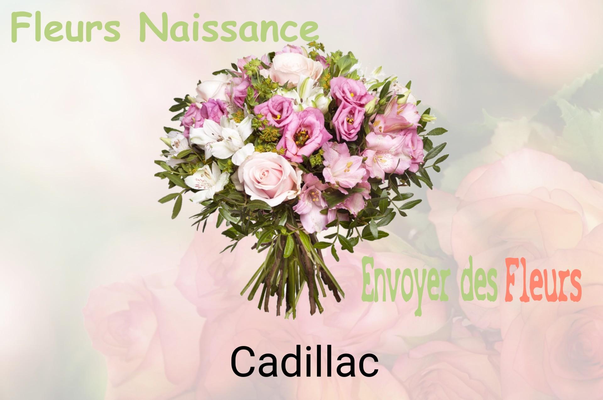 Bouquet de fleurs de naissance livré à Cadillac